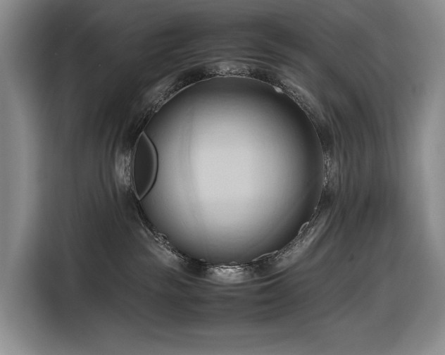 X0000116680189200912211631