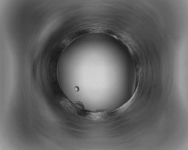 X0000116680190200912211631