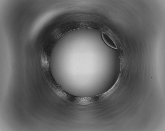 X0000116680191200912211631