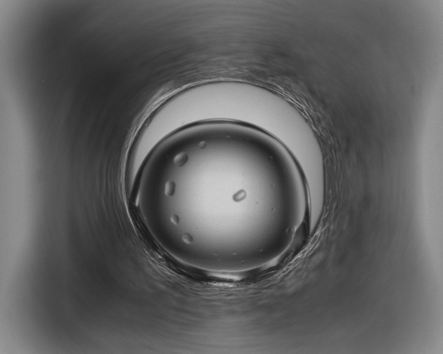 X0000116680195200912211630