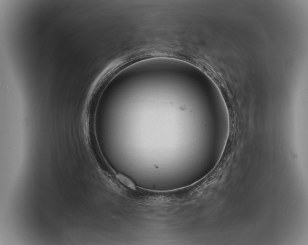 X0000116680197200912211630