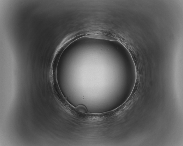 X0000116680198200912211630