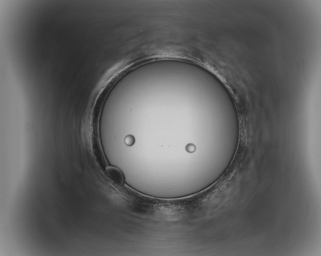 X0000116680199200912211630