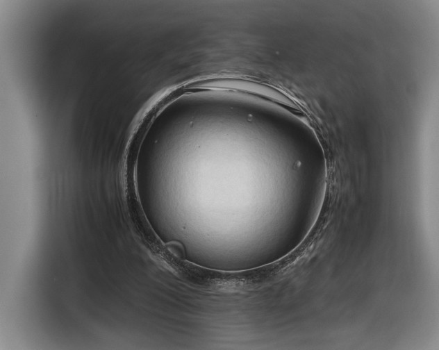 X0000116680200200912211630