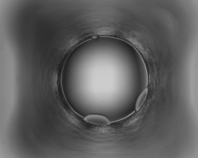 X0000116680201200912211630