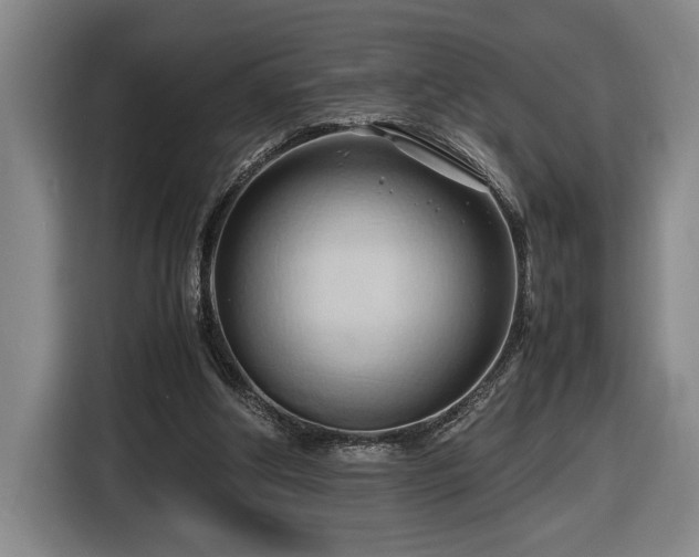 X0000116680202200912211630