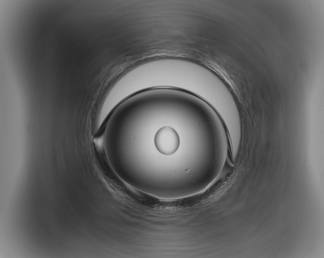 X0000116680205200912211630