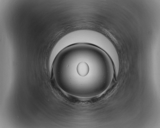 X0000116680209200912211630