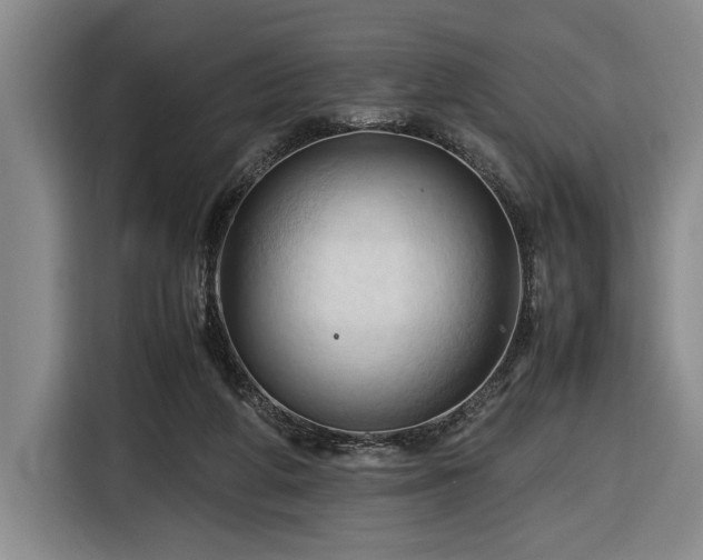 X0000116680210200912211630