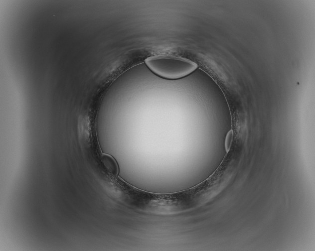 X0000116680211200912211630