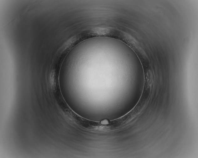 X0000116680212200912211630