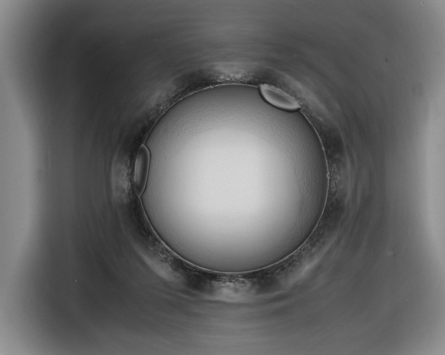 X0000116680215200912211630