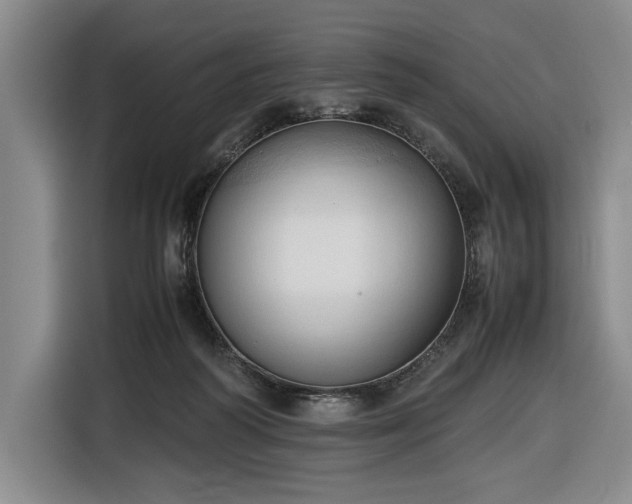 X0000116680218200912211630