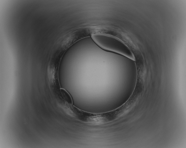 X0000116680219200912211630