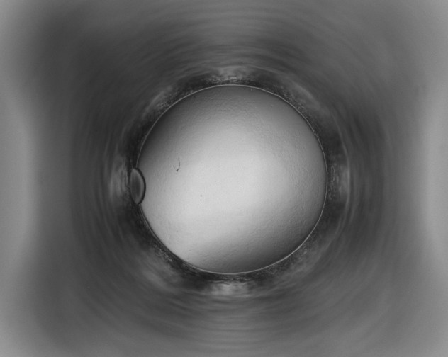 X0000116680220200912211630