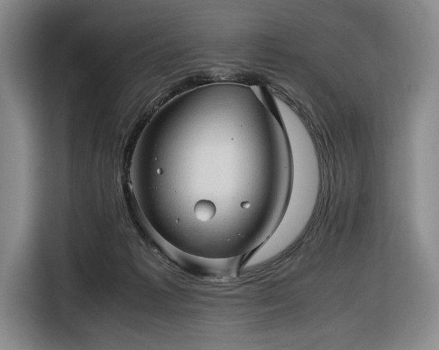 X0000116680221200912211630