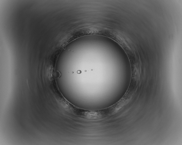 X0000116680230200912211630