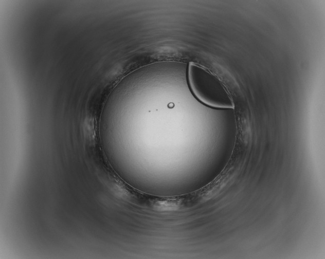 X0000116680232200912211630