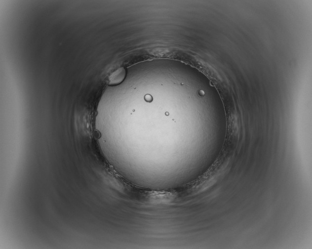 X0000116680234200912211630