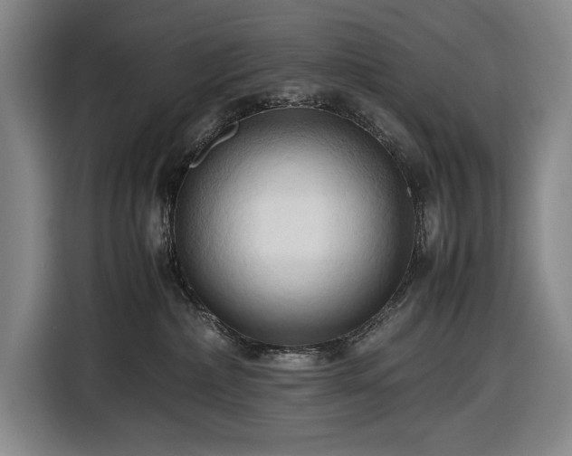 X0000116680236200912211630