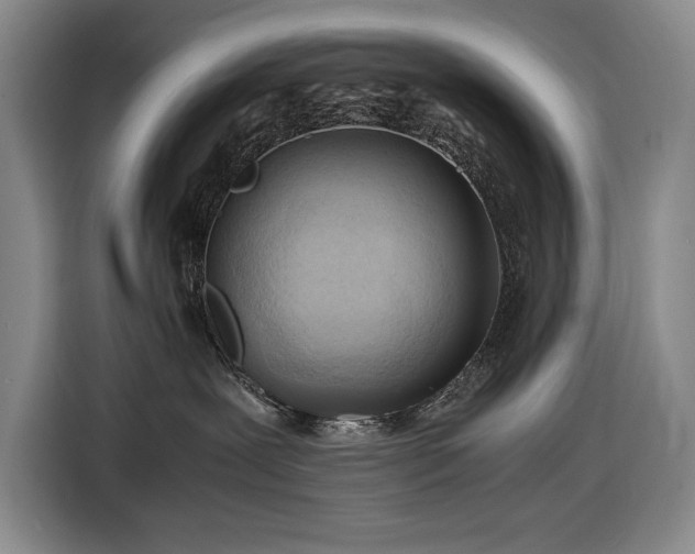 X0000116680239200912211630