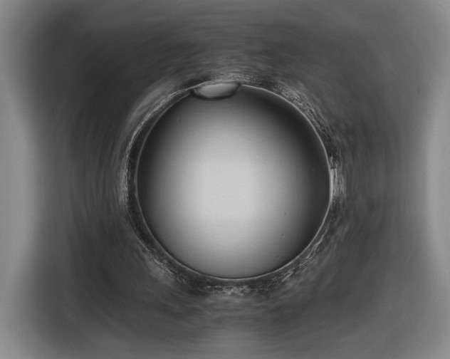 X0000116680243200912211629