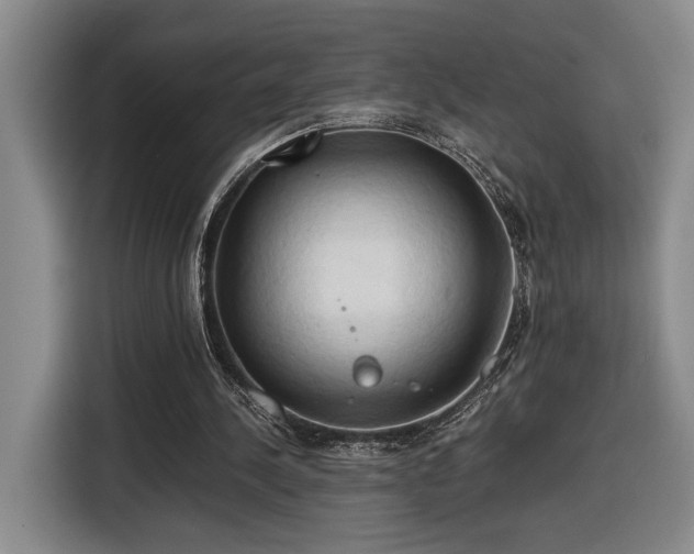 X0000116680244200912211629