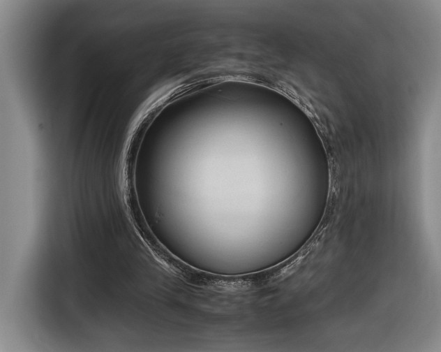 X0000116680245200912211629