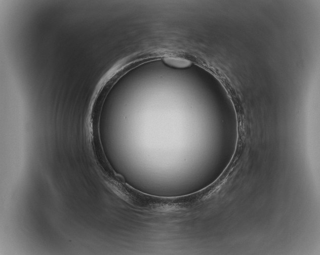 X0000116680246200912211629