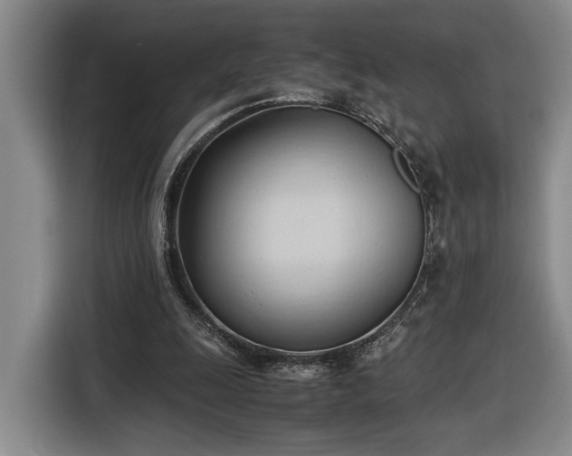 X0000116680247200912211629