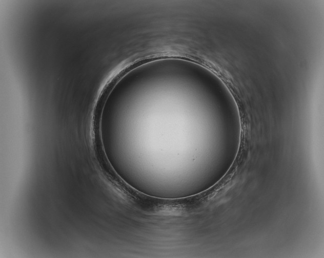 X0000116680248200912211629