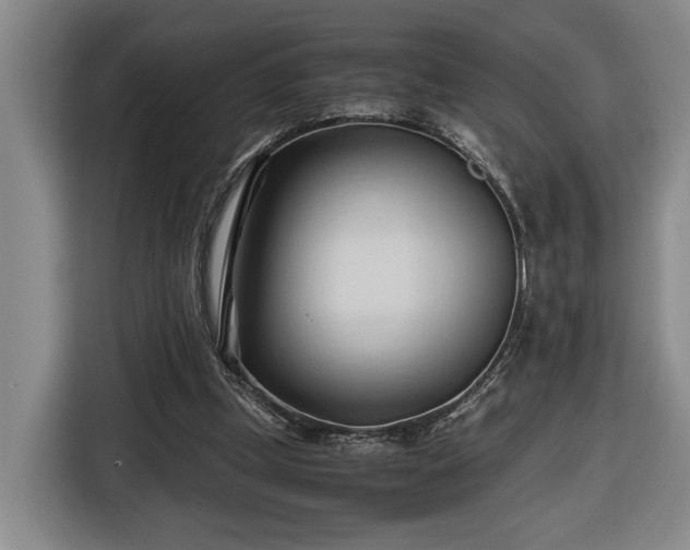 X0000116680249200912211629