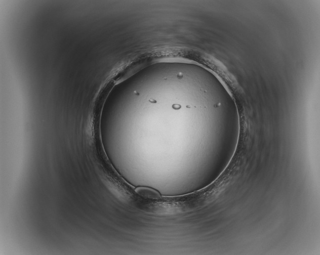 X0000116680250200912211629