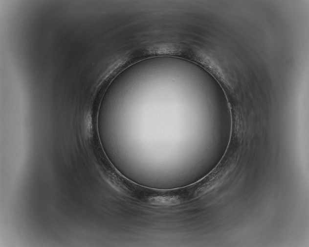 X0000116680251200912211629