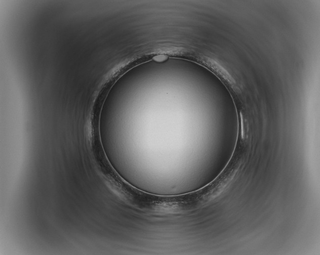 X0000116680252200912211629