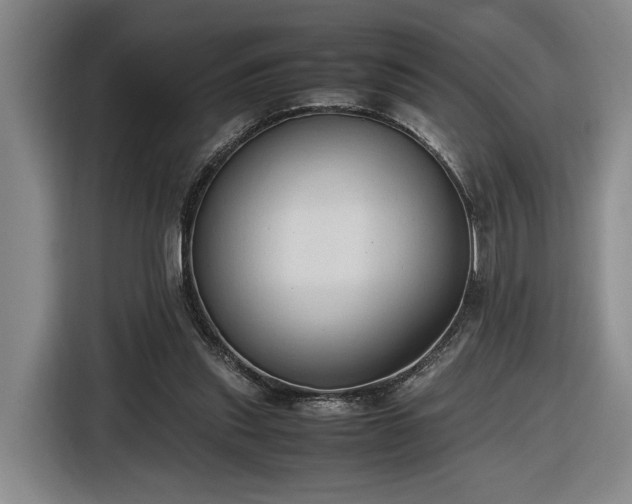 X0000116680253200912211629