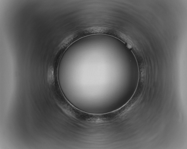 X0000116680254200912211629