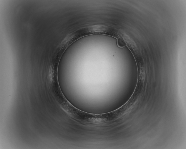 X0000116680255200912211629