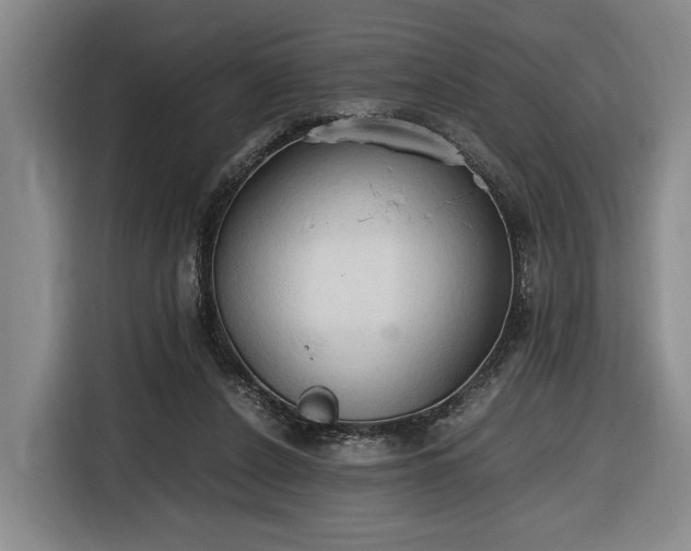 X0000116680256200912211629