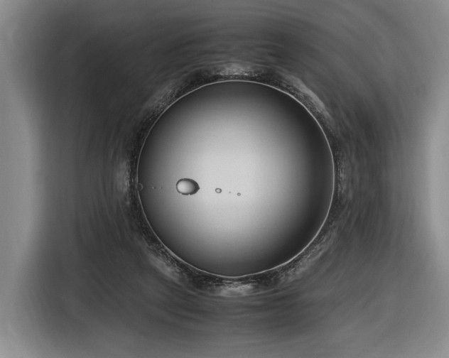 X0000116680257200912211629