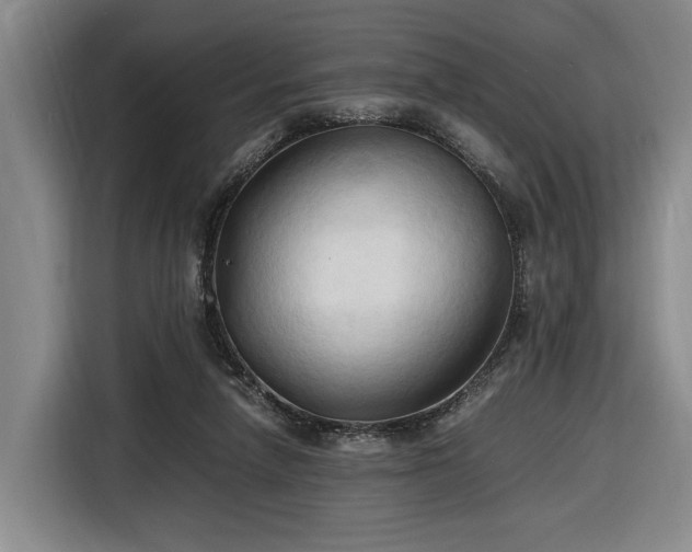 X0000116680258200912211629