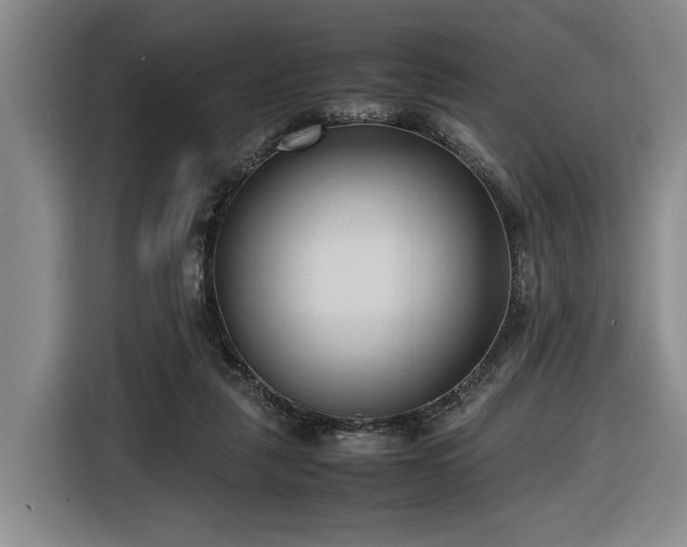 X0000116680259200912211629