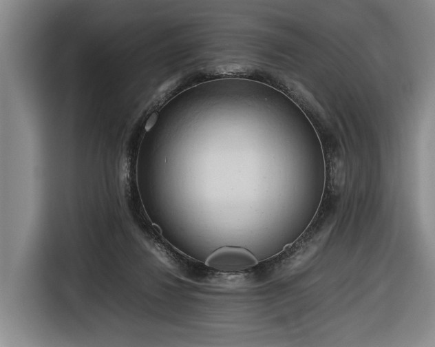 X0000116680260200912211629