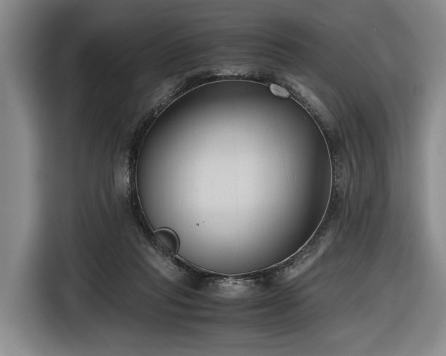 X0000116680261200912211629