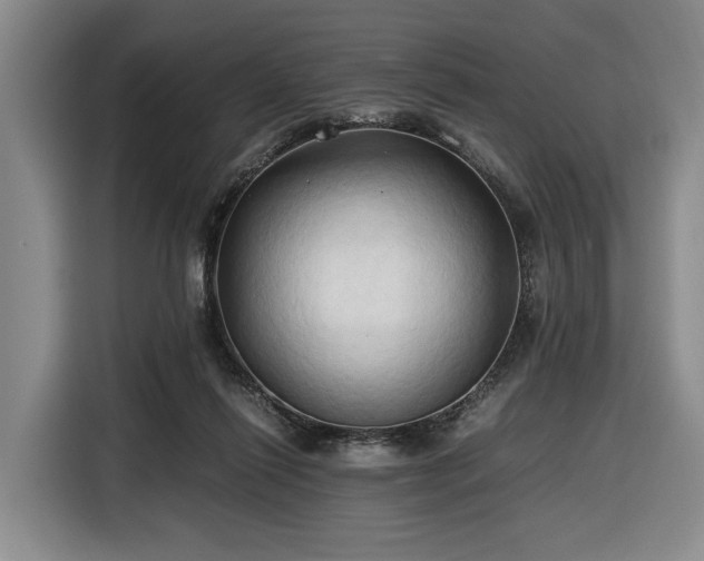 X0000116680262200912211629