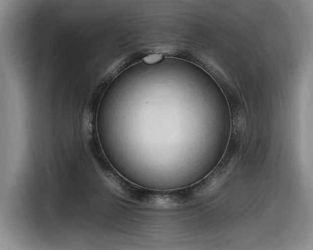 X0000116680264200912211629