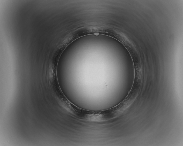 X0000116680266200912211629