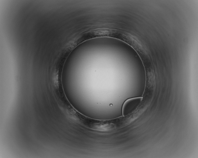 X0000116680267200912211629