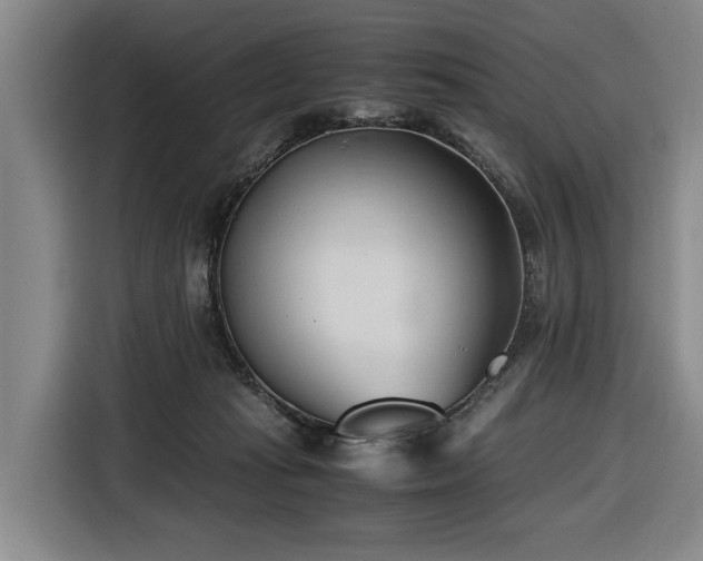 X0000116680269200912211629