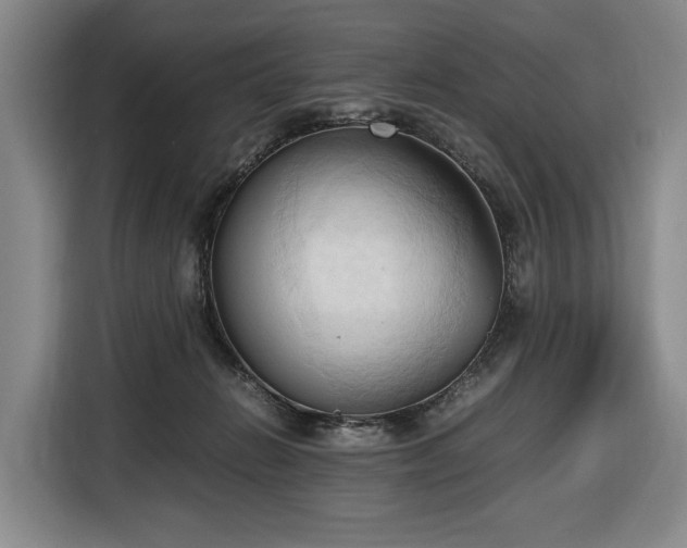 X0000116680270200912211629